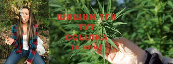 ГАЛЛЮЦИНОГЕННЫЕ ГРИБЫ Балахна