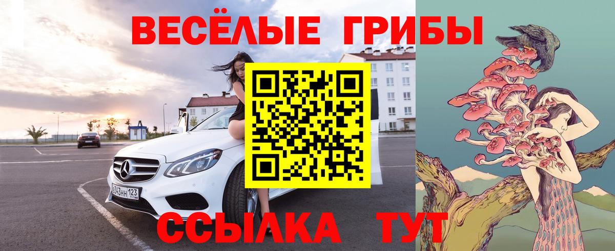 Псилоцибиновые грибы ЛСД Ульяновск