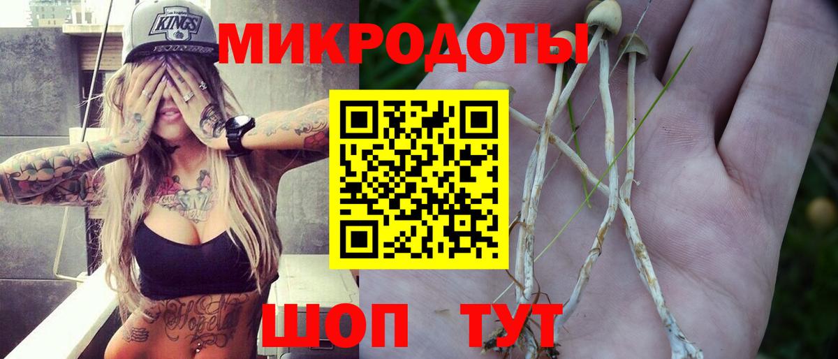 Ульяновск  закладка  Вход с VPN  Галлюциногенные грибы мухоморы 